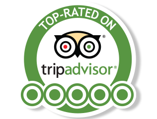 TripAdvisor logo